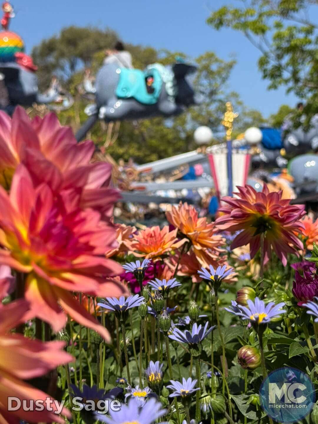 , DISNEYLAND UPDATE: Tiki Treats, Dancing Feats & Banana Beats!