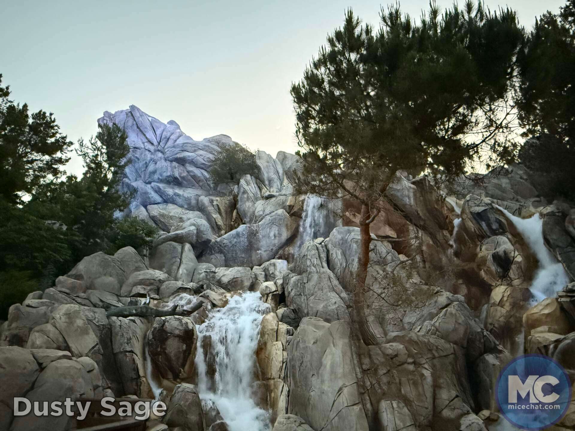 , DISNEYLAND UPDATE: Tiki Treats, Dancing Feats & Banana Beats!
