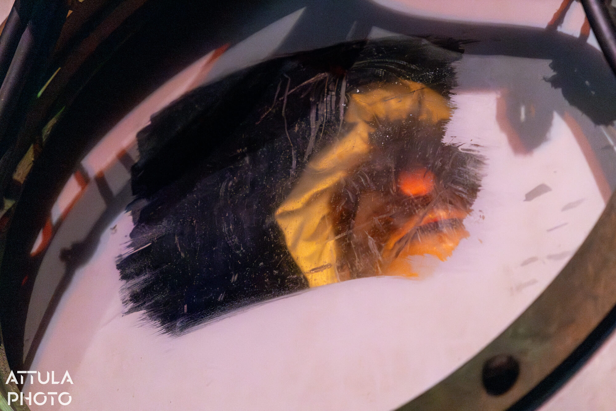 Muppet•Vision 3D, Farewell, Muppet•Vision 3D: A Photo Tribute and a Peek at What’s Coming