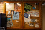 017_Walt Disney World_Disney’s Hollywood Studios_PizzaRizzo_Bulletin Board