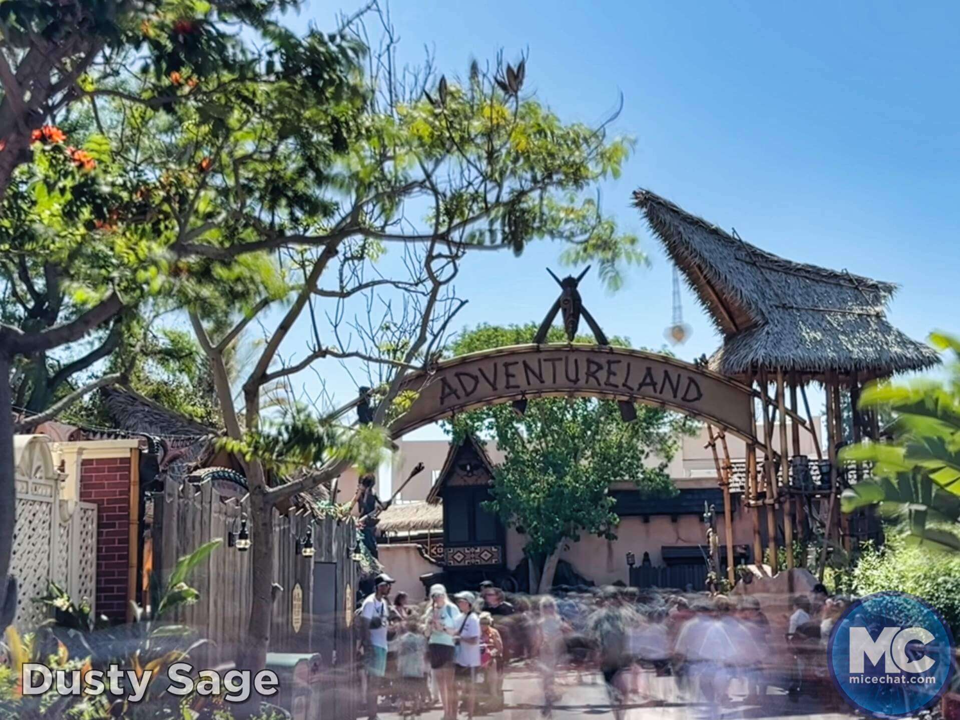 , DISNEYLAND UPDATE: Guest Injury, Expansion News & Disneyland Blues