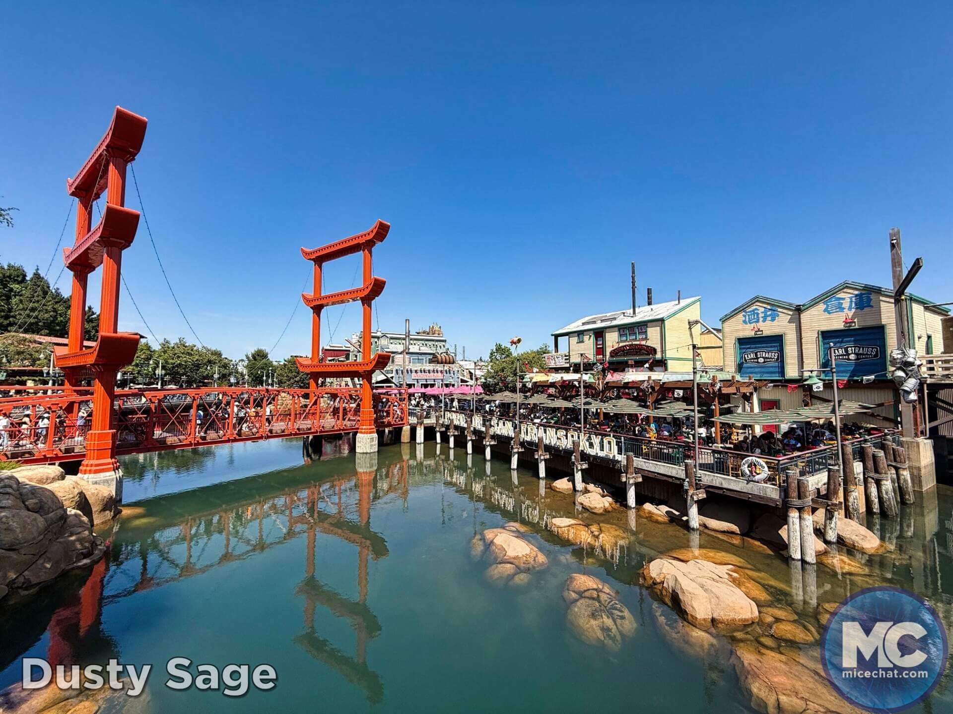 , DISNEYLAND UPDATE: Guest Injury, Expansion News & Disneyland Blues