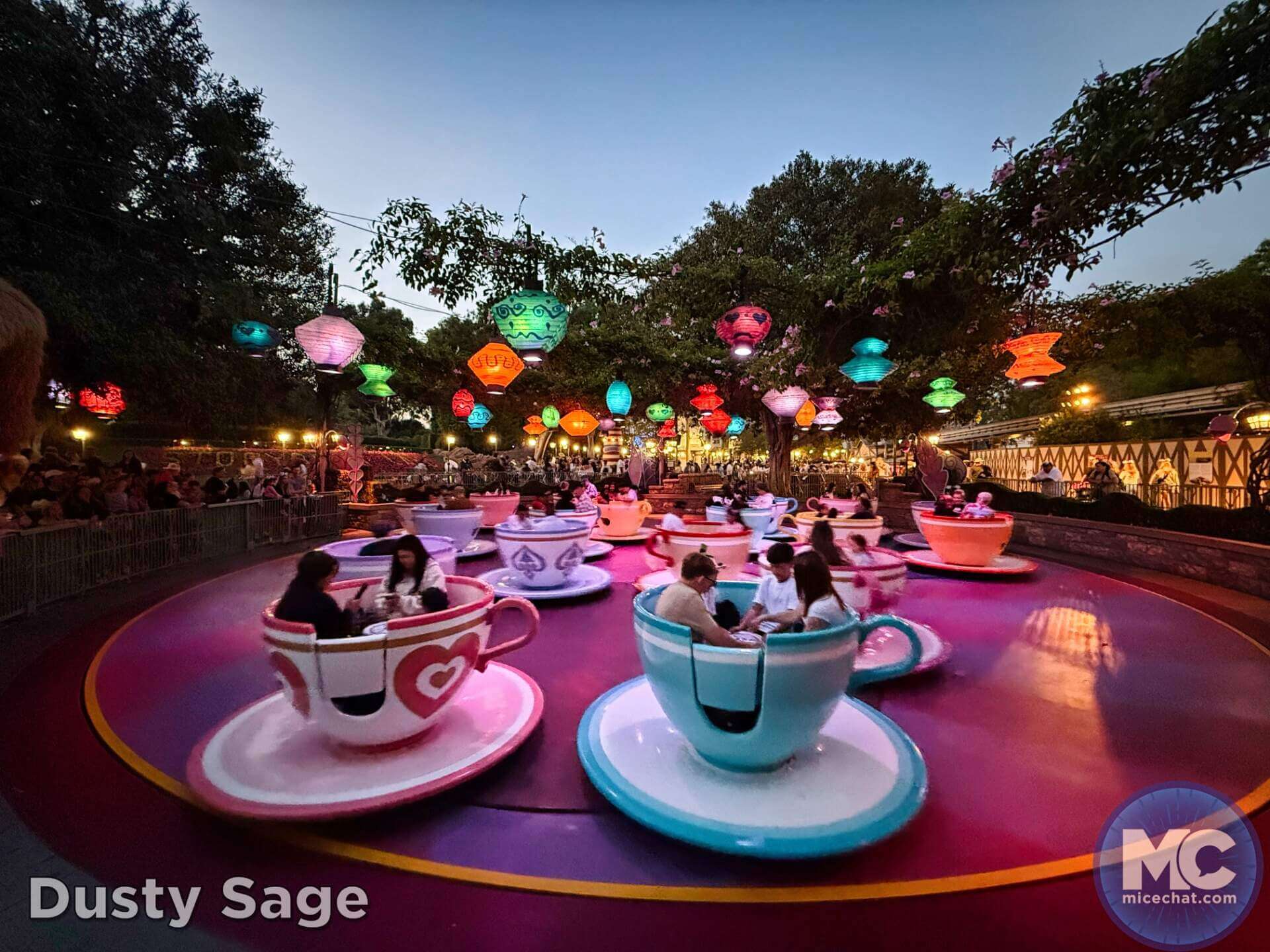 , DISNEYLAND UPDATE: Guest Injury, Expansion News & Disneyland Blues