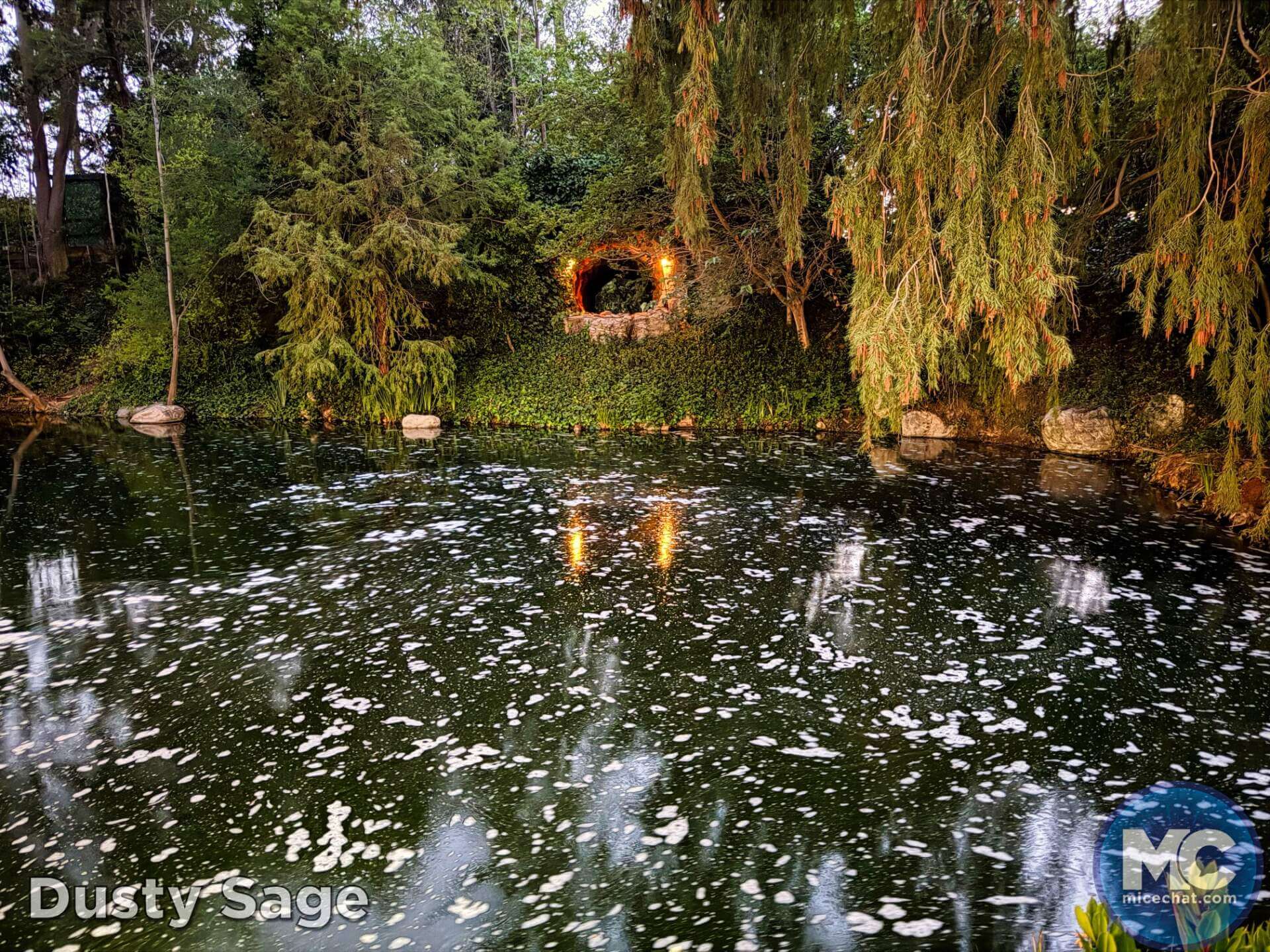 , DISNEYLAND UPDATE: Guest Injury, Expansion News & Disneyland Blues