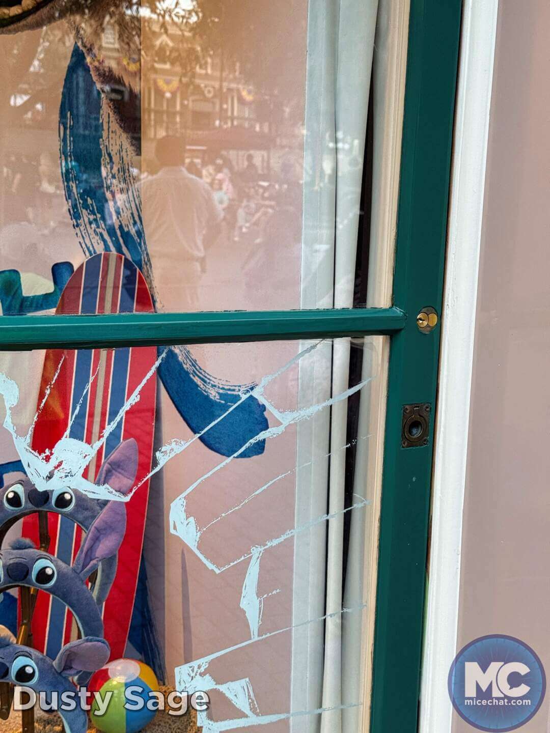 , DISNEYLAND UPDATE: Guest Injury, Expansion News & Disneyland Blues