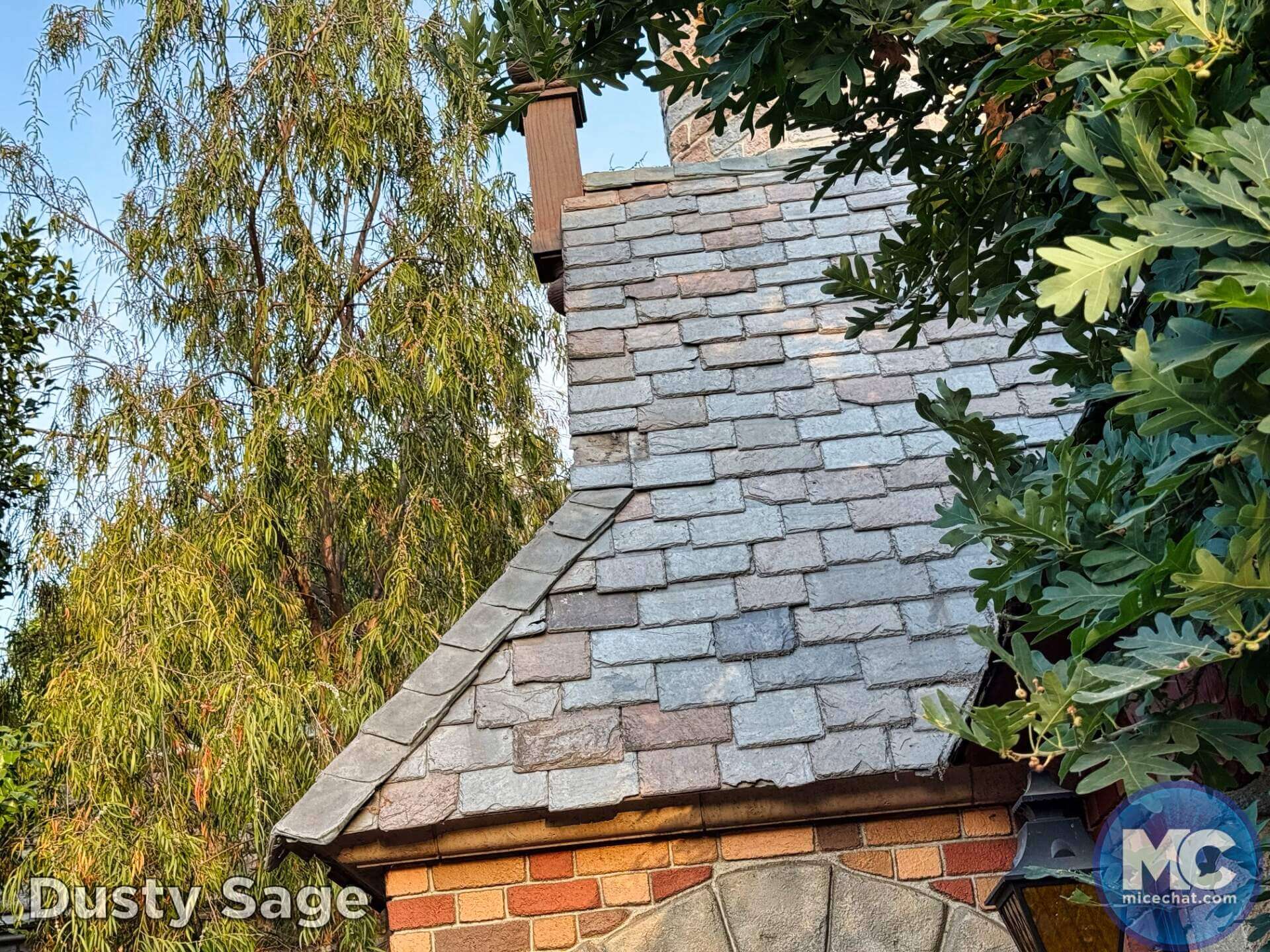, DISNEYLAND UPDATE: Guest Injury, Expansion News & Disneyland Blues