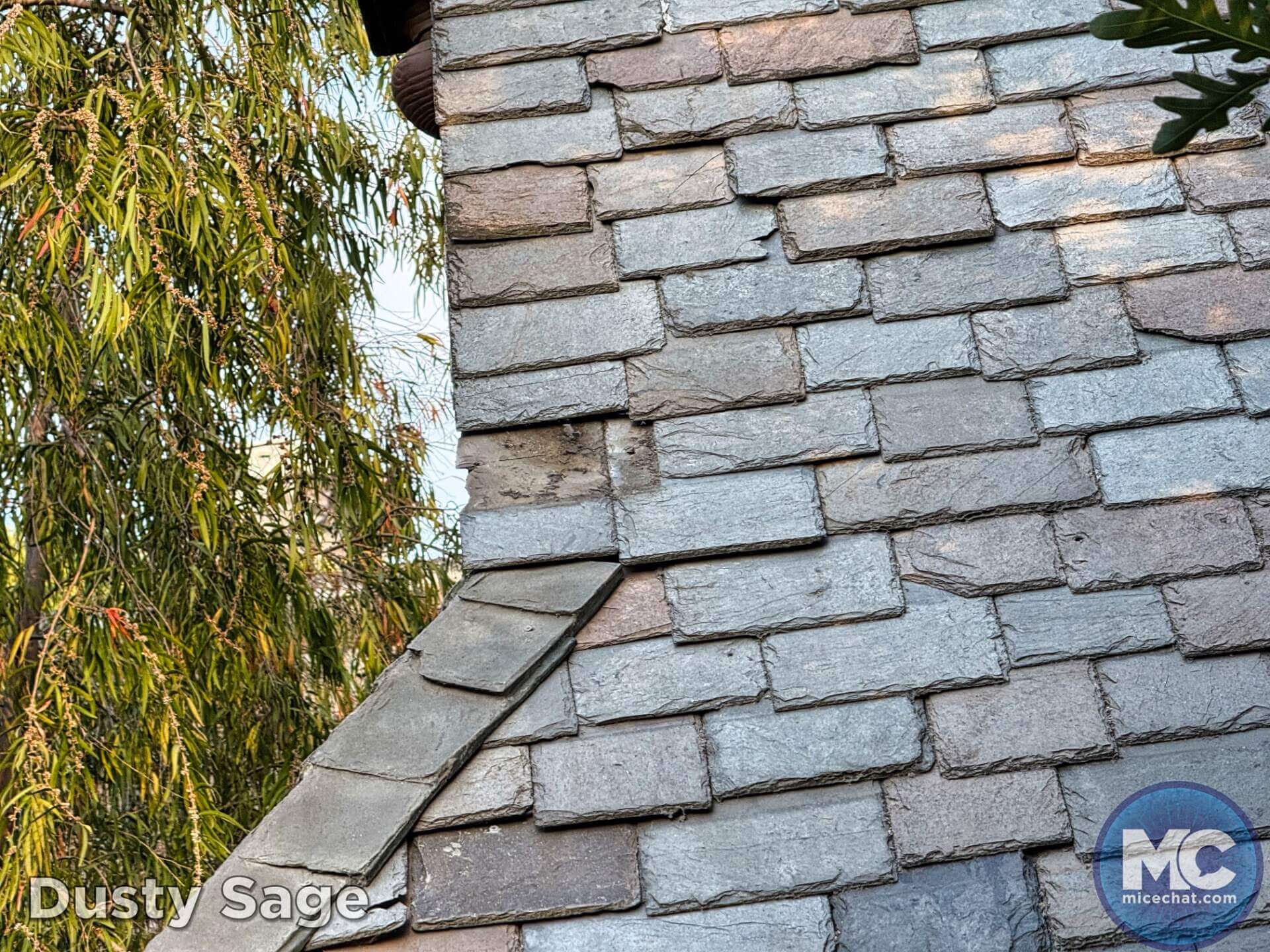 , DISNEYLAND UPDATE: Guest Injury, Expansion News & Disneyland Blues