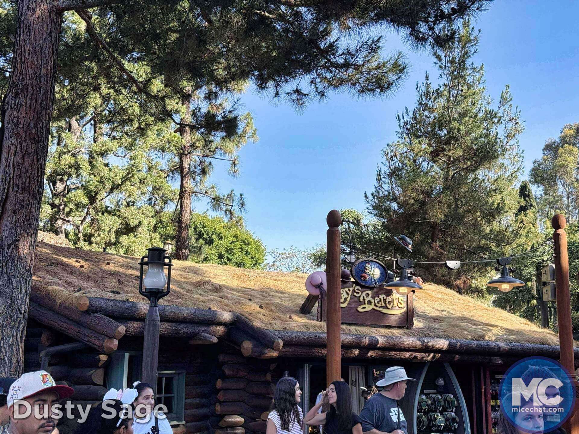 , DISNEYLAND UPDATE: Guest Injury, Expansion News & Disneyland Blues