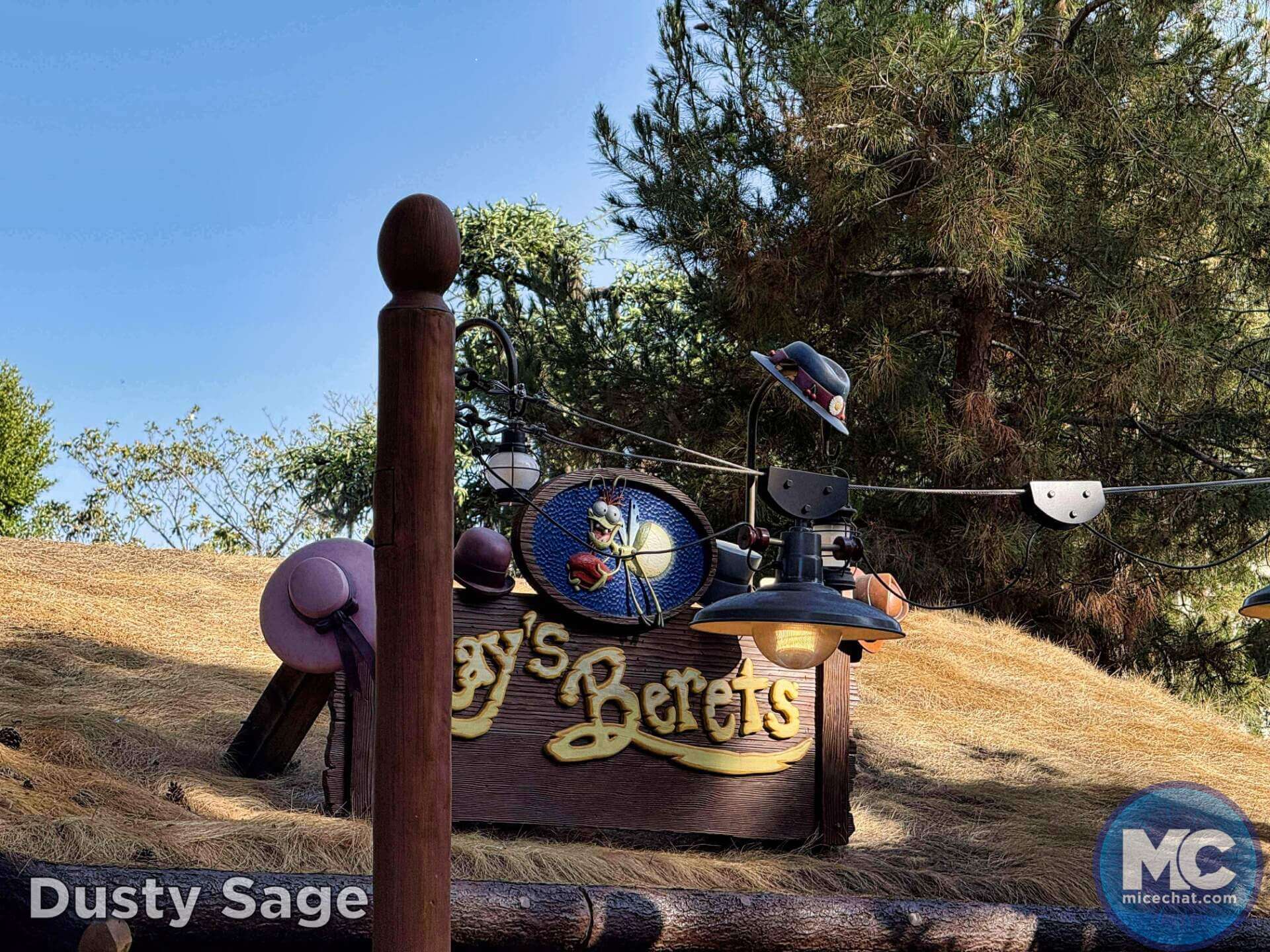 , DISNEYLAND UPDATE: Guest Injury, Expansion News & Disneyland Blues