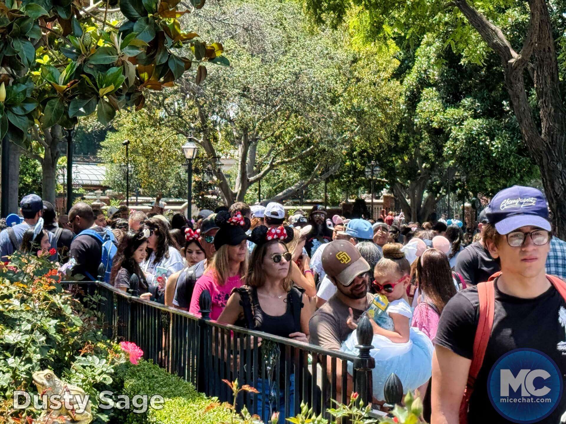 , DISNEYLAND UPDATE: Guest Injury, Expansion News & Disneyland Blues