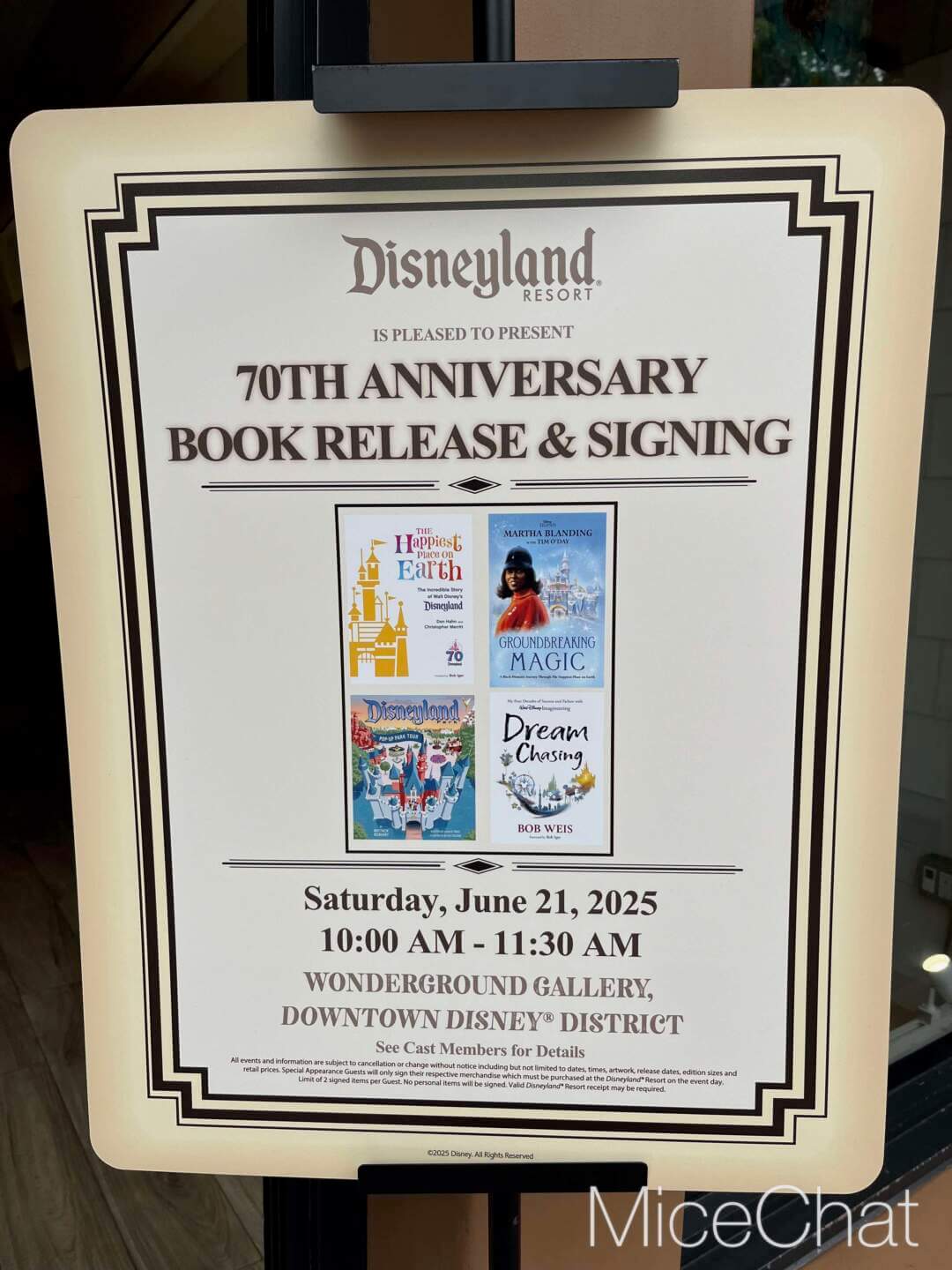 , DISNEYLAND UPDATE: Guest Injury, Expansion News & Disneyland Blues