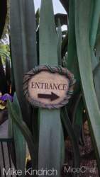 DLR-Pixie-Hollow-2