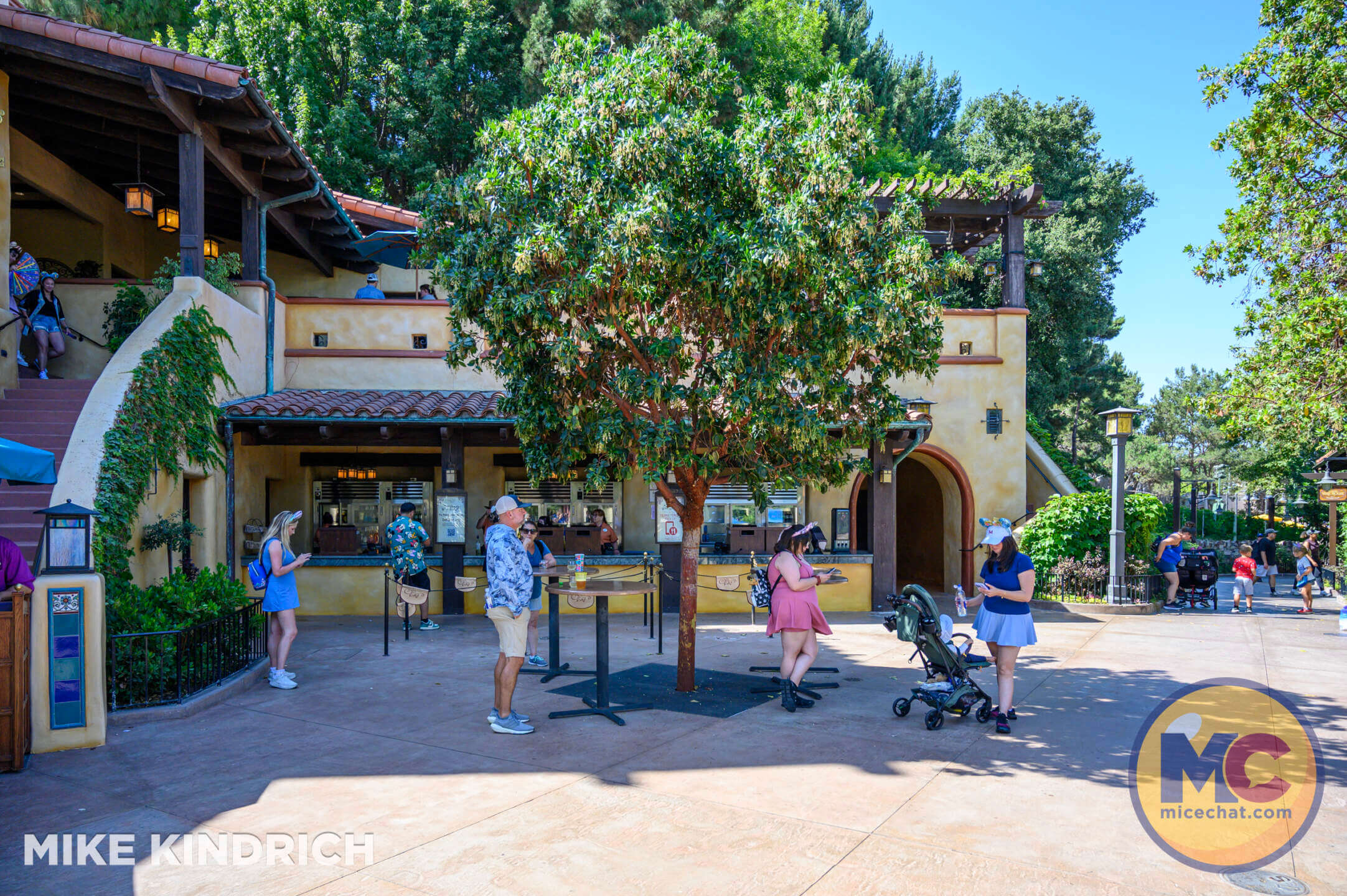 , DISNEYLAND UPDATE: Curious Crowds, Safety SNAFU & Exclusive Avengers Aerial!