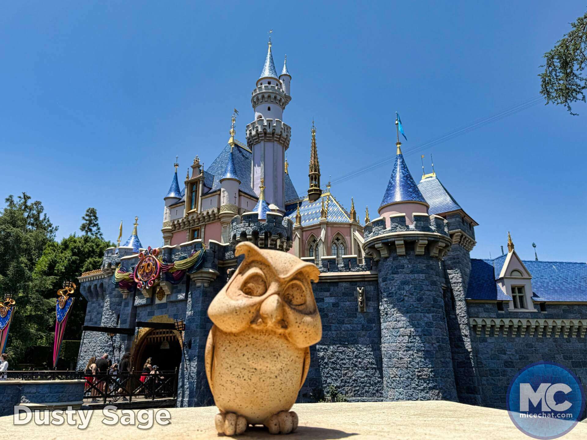 , DISNEYLAND UPDATE: Curious Crowds, Safety SNAFU & Exclusive Avengers Aerial!