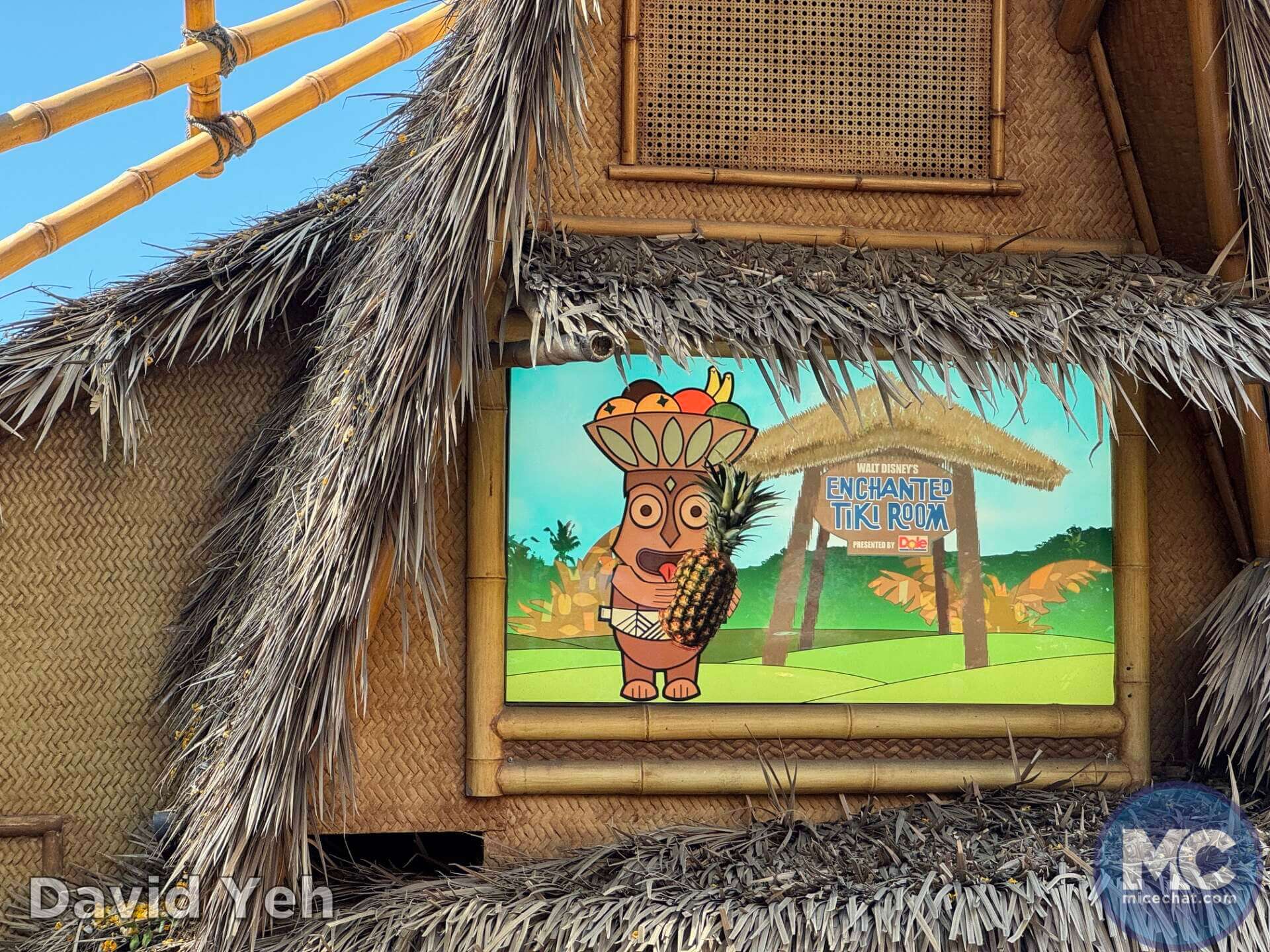 , DISNEYLAND UPDATE: Pirates Unplugged, Leota’s Legacy & Bubble Bonanza