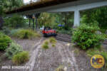 Disneyland_Tomorrowland_Autopia-2