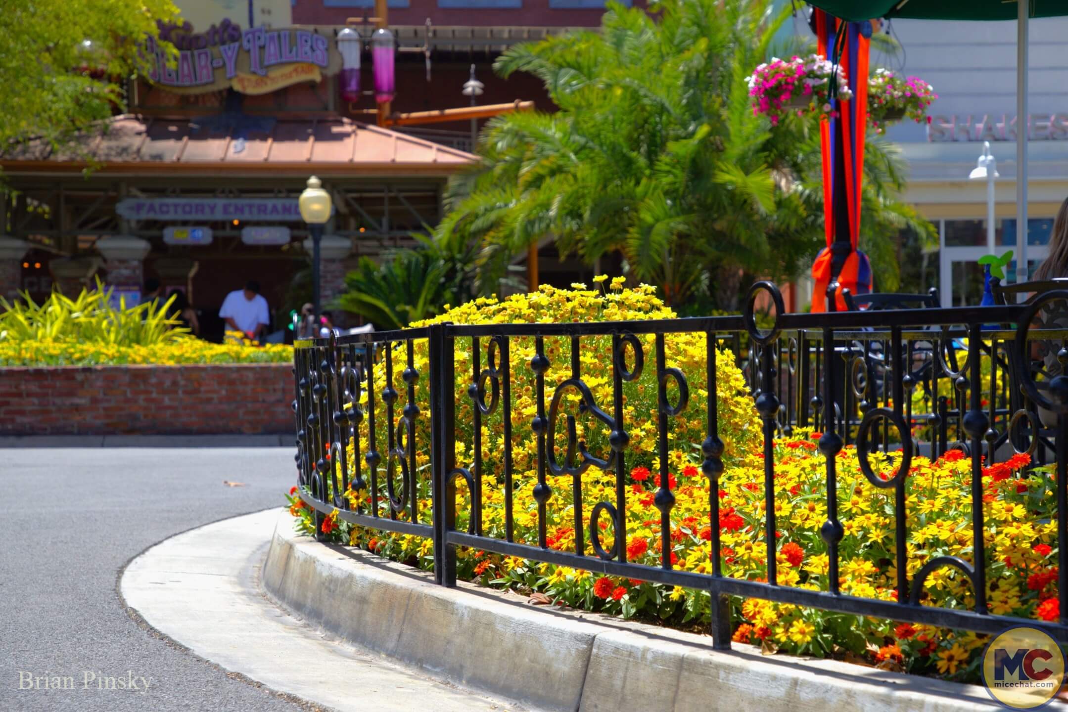 Knott’s Berry Farm construction update, Knott’s Berry Farm Update: Loops, Splashes, and Season Passes