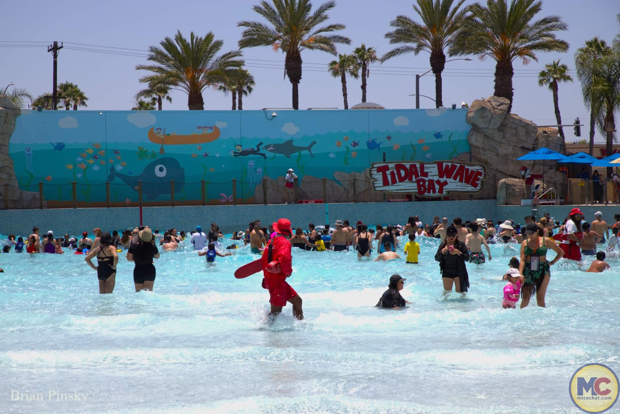 Knott’s Berry Farm construction update, Knott’s Berry Farm Update: Loops, Splashes, and Season Passes