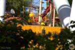 Knotts_Berry_Farm-Woodstock-Bushes
