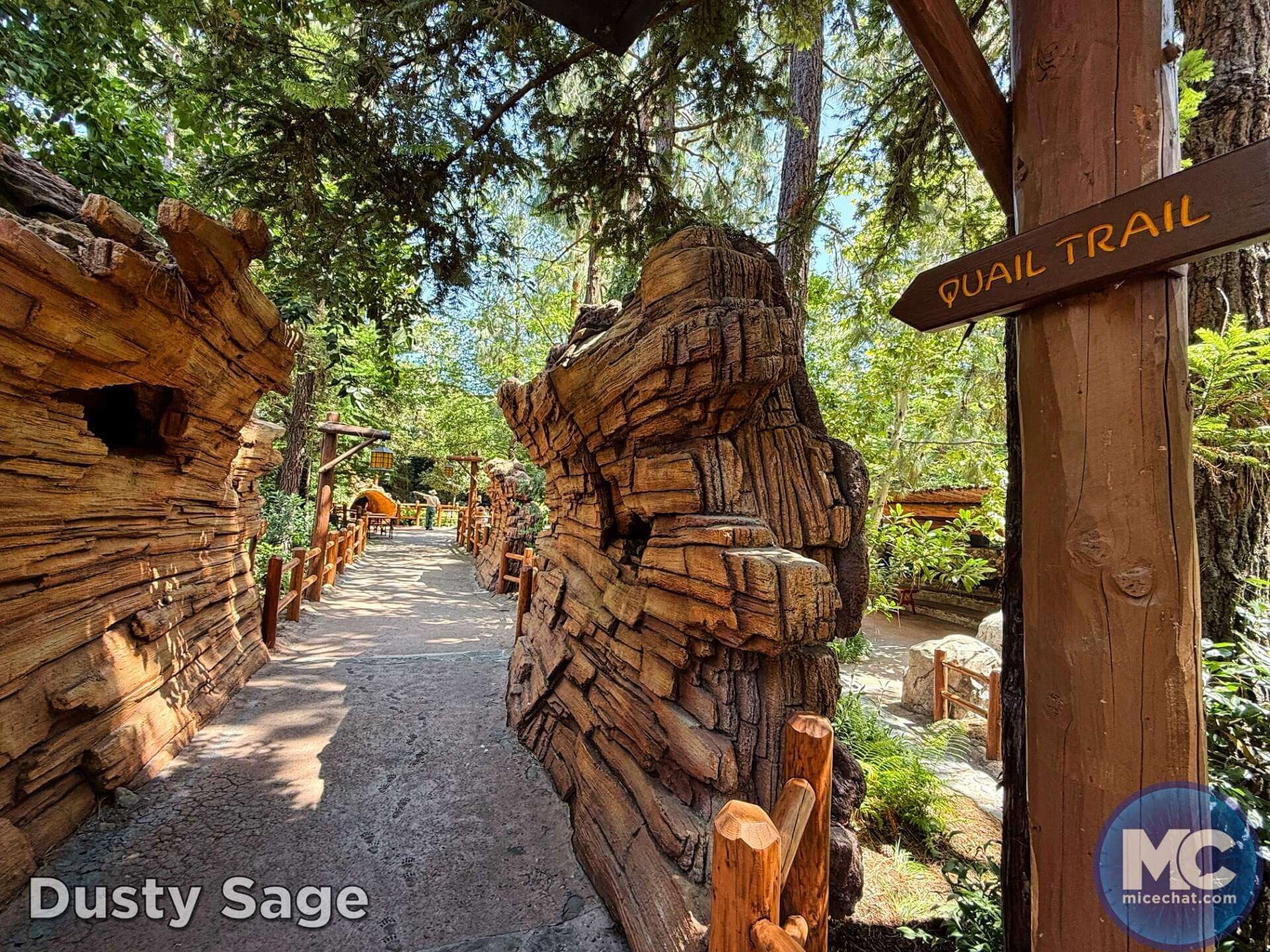 , DISNEYLAND UPDATE: Guest Injury, Expansion News & Disneyland Blues