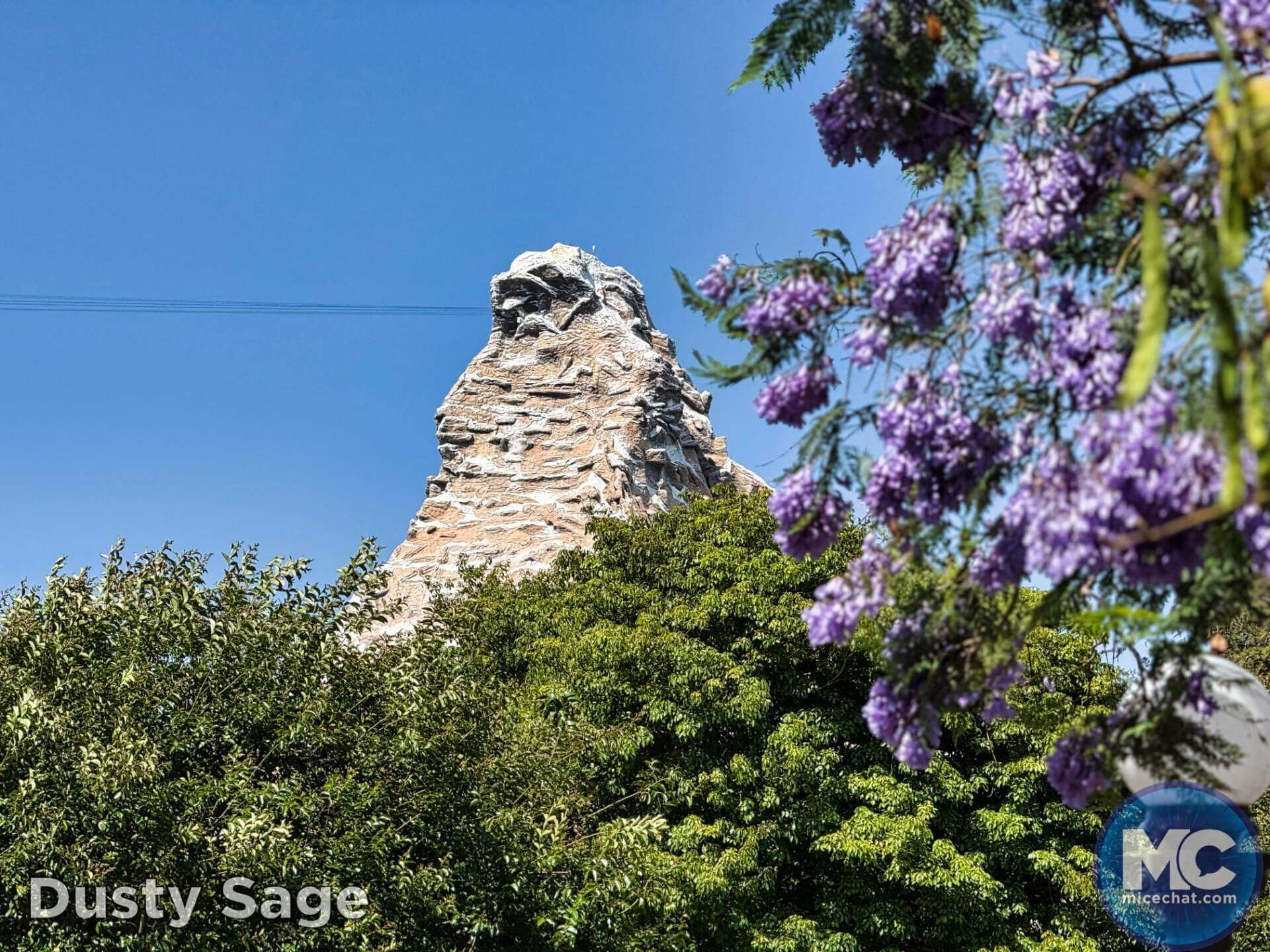 , DISNEYLAND UPDATE: Guest Injury, Expansion News & Disneyland Blues
