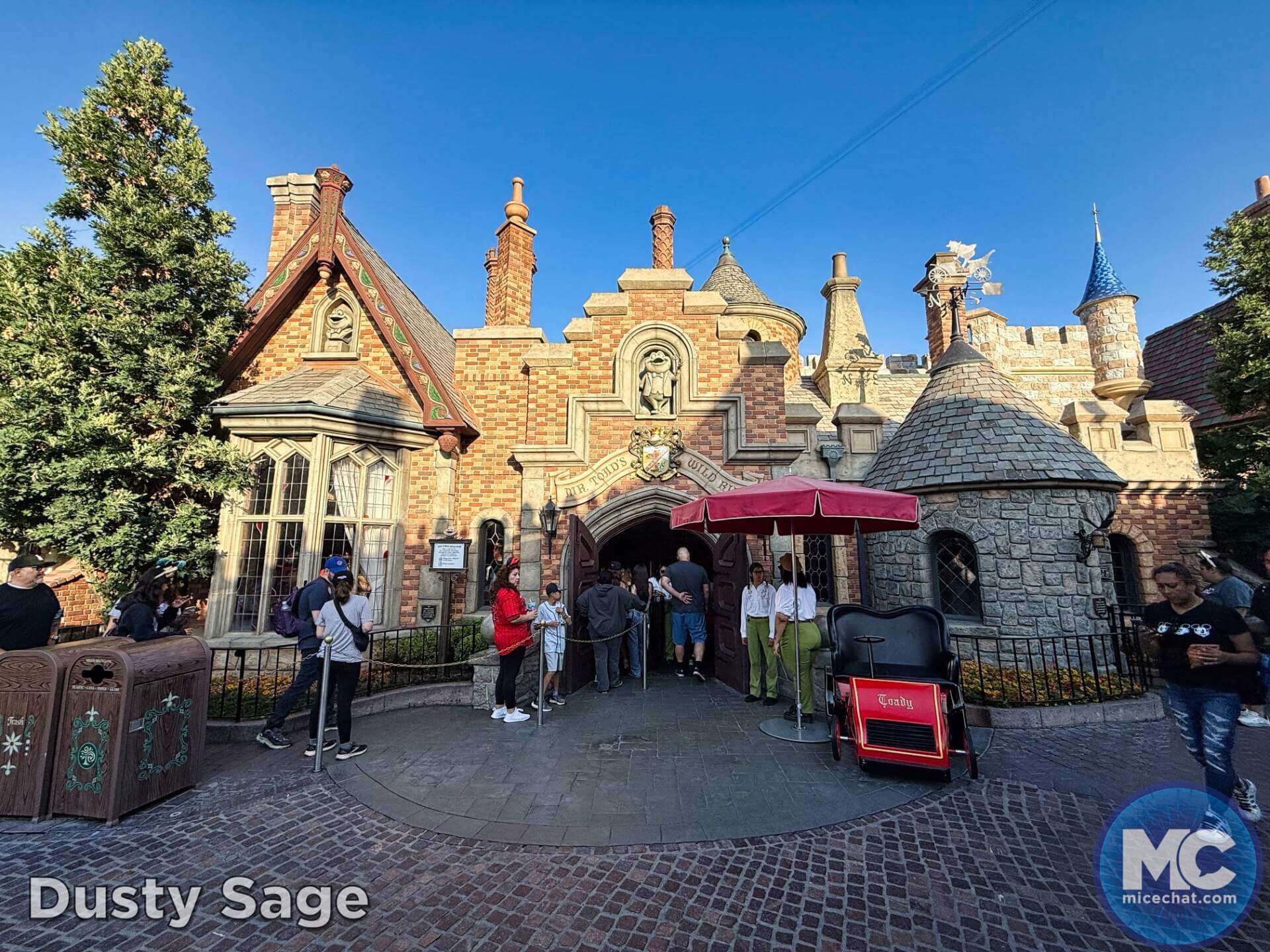 , DISNEYLAND UPDATE: Guest Injury, Expansion News & Disneyland Blues