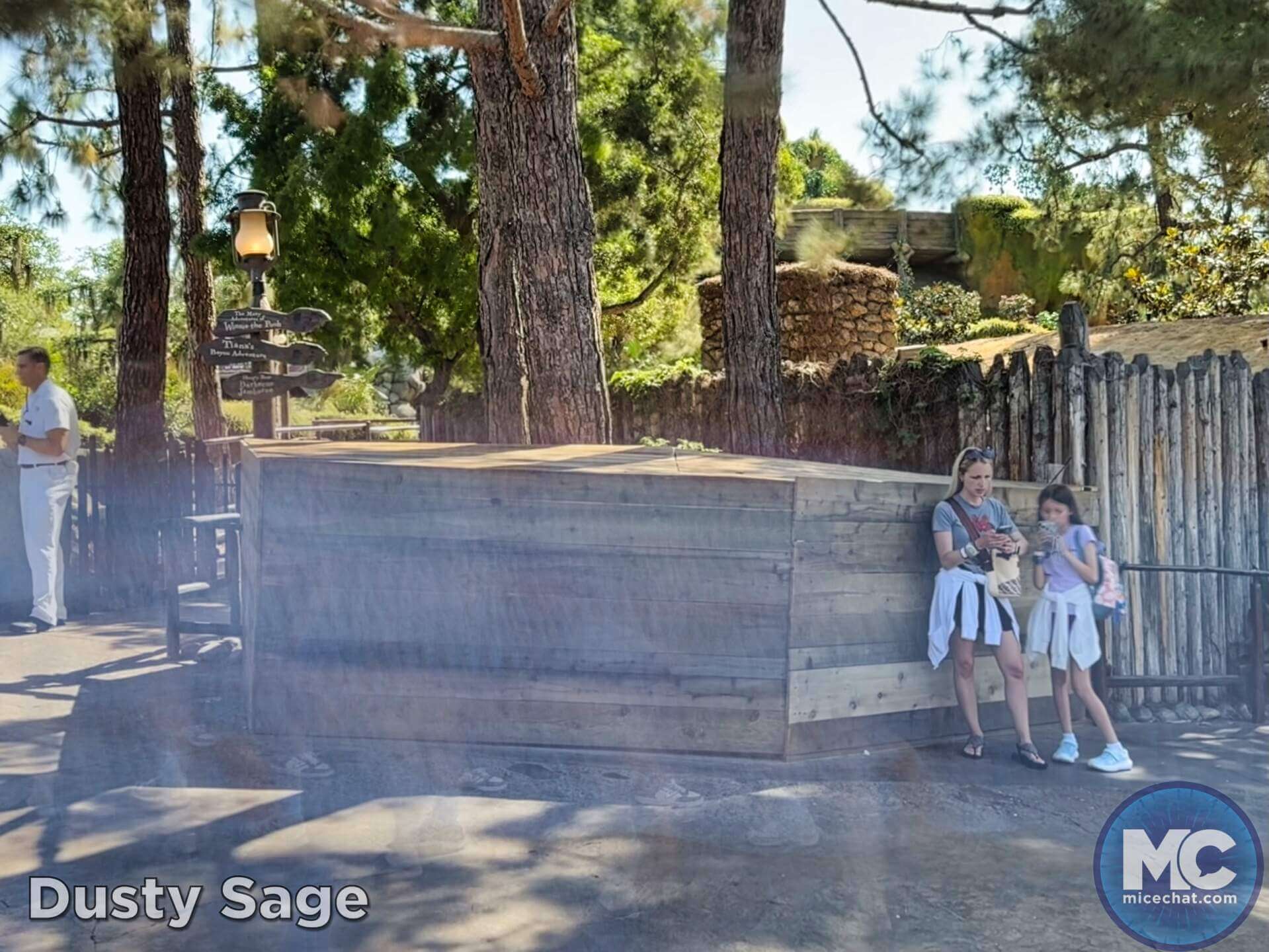 , DISNEYLAND UPDATE: Guest Injury, Expansion News & Disneyland Blues