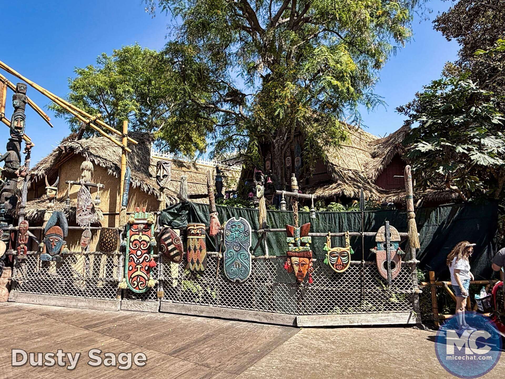 , DISNEYLAND UPDATE: Guest Injury, Expansion News & Disneyland Blues