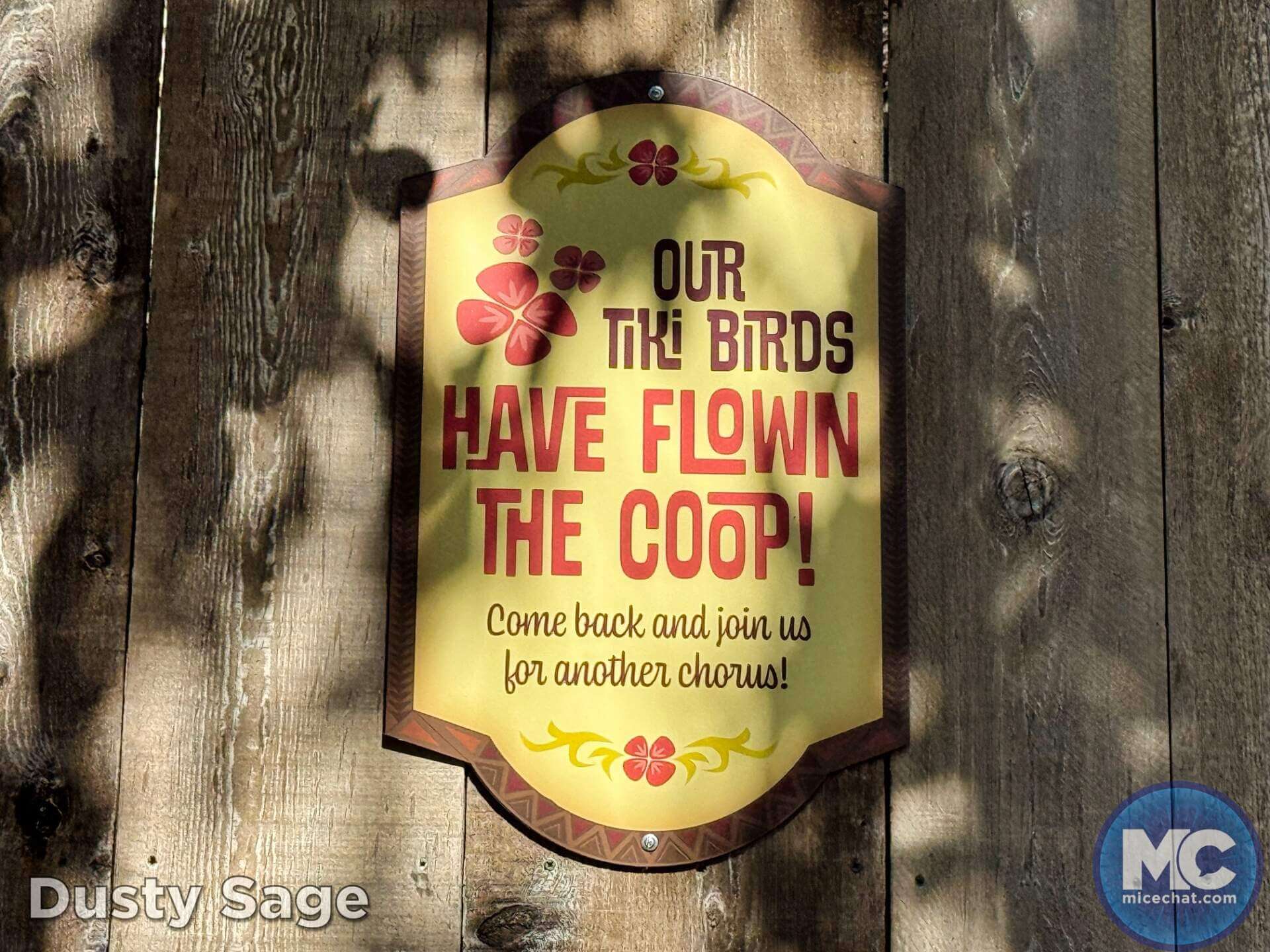 , DISNEYLAND UPDATE: Guest Injury, Expansion News & Disneyland Blues