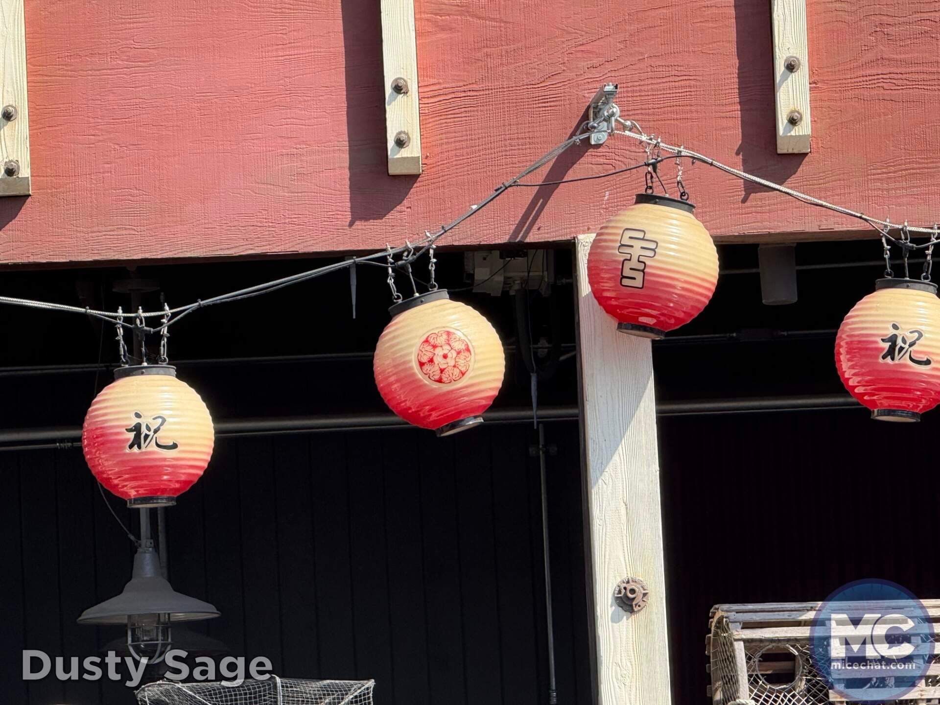 , DISNEYLAND UPDATE: Guest Injury, Expansion News & Disneyland Blues