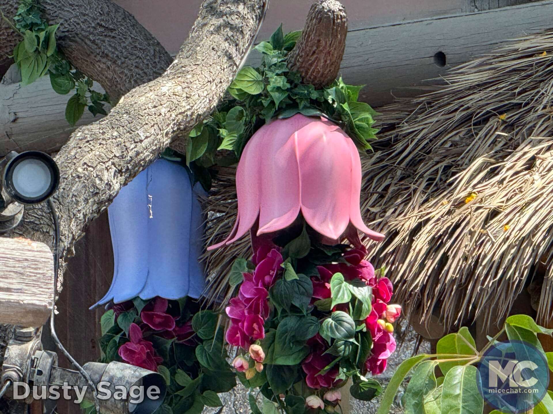 , DISNEYLAND UPDATE: Kim&rsquo;s Goodbye, Coco&rsquo;s Hello, Pandora Puzzlement & Construction Craziness!