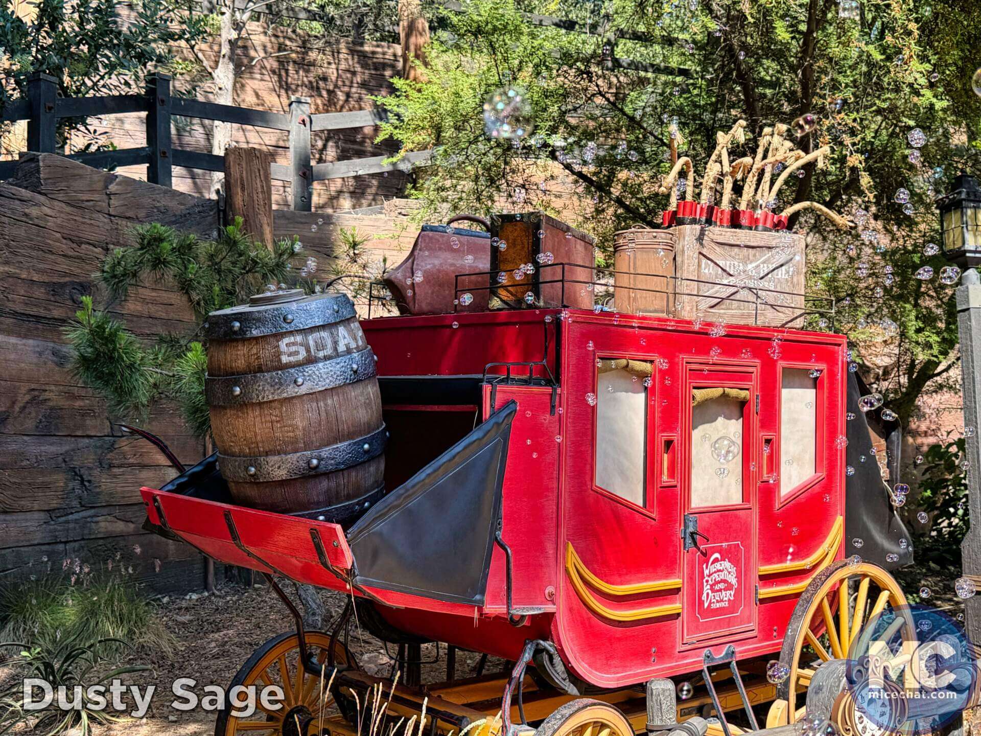 , DISNEYLAND UPDATE: Guest Injury, Expansion News & Disneyland Blues