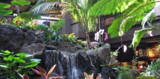 Yesterland: Waterfall Garden at Disney’s Polynesian Resort