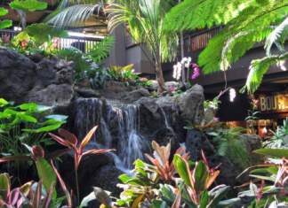 Yesterland: Waterfall Garden at Disney’s Polynesian Resort Yesterland: Waterfall Garden at Disney’s Polynesian Resort