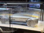 Disney-World-WDW-Epcot-Test-Track-2025-queue-39