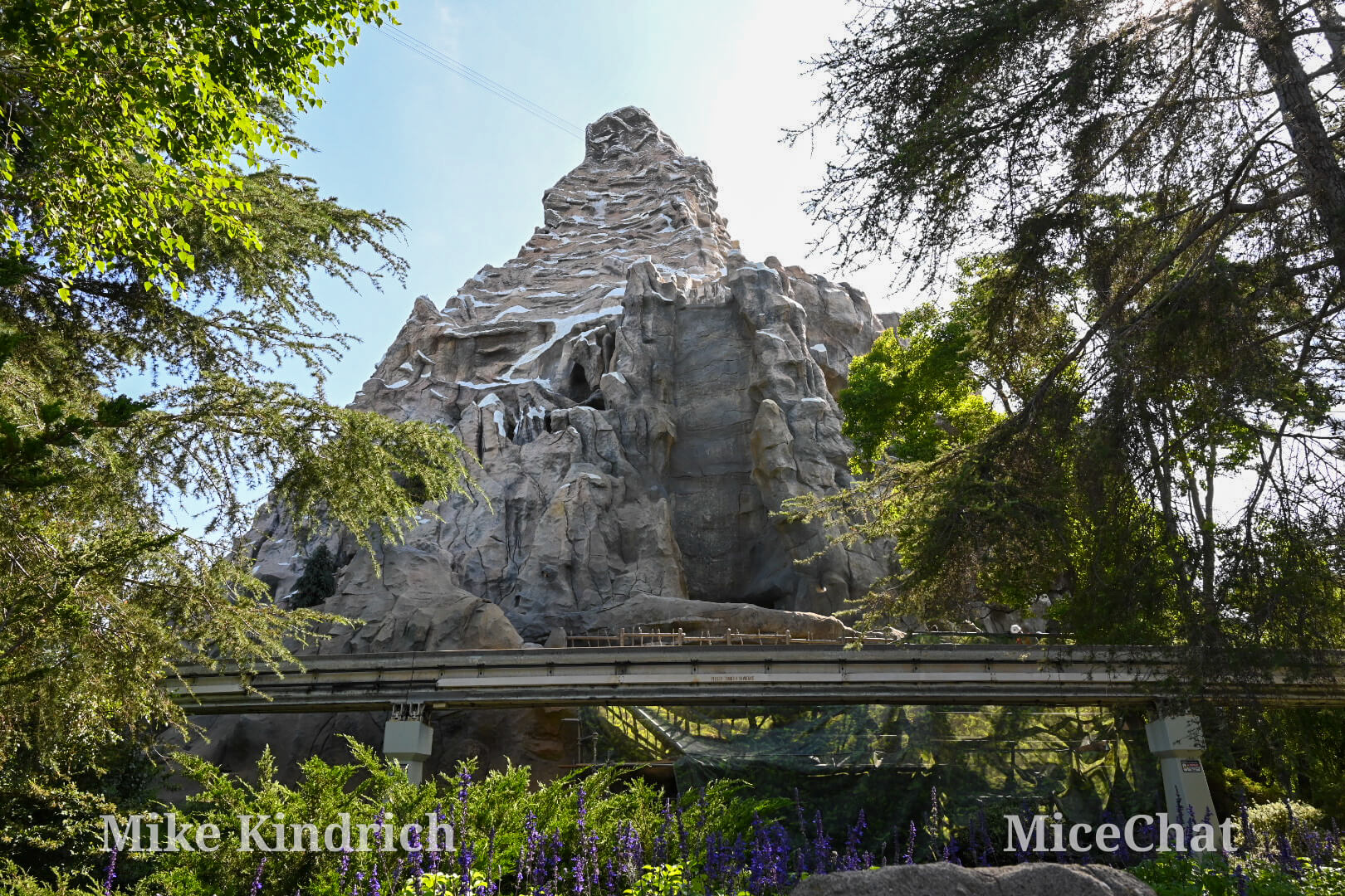, DISNEYLAND UPDATE: The 4th Fizzles, Crowds Collapse + Pixies, Ghosts & Robo Walt!