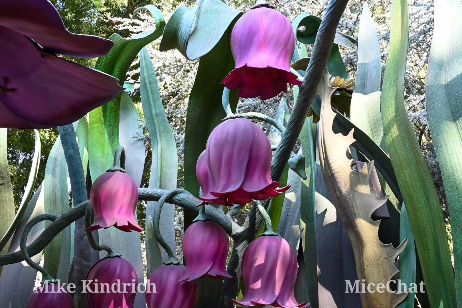 , DISNEYLAND UPDATE: The 4th Fizzles, Crowds Collapse + Pixies, Ghosts & Robo Walt!