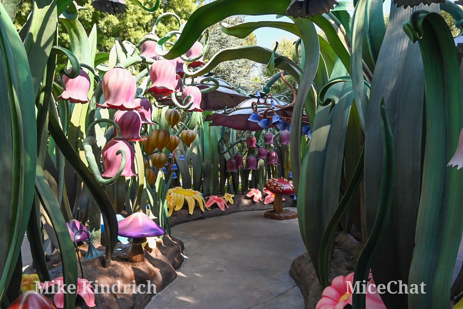 , DISNEYLAND UPDATE: The 4th Fizzles, Crowds Collapse + Pixies, Ghosts & Robo Walt!