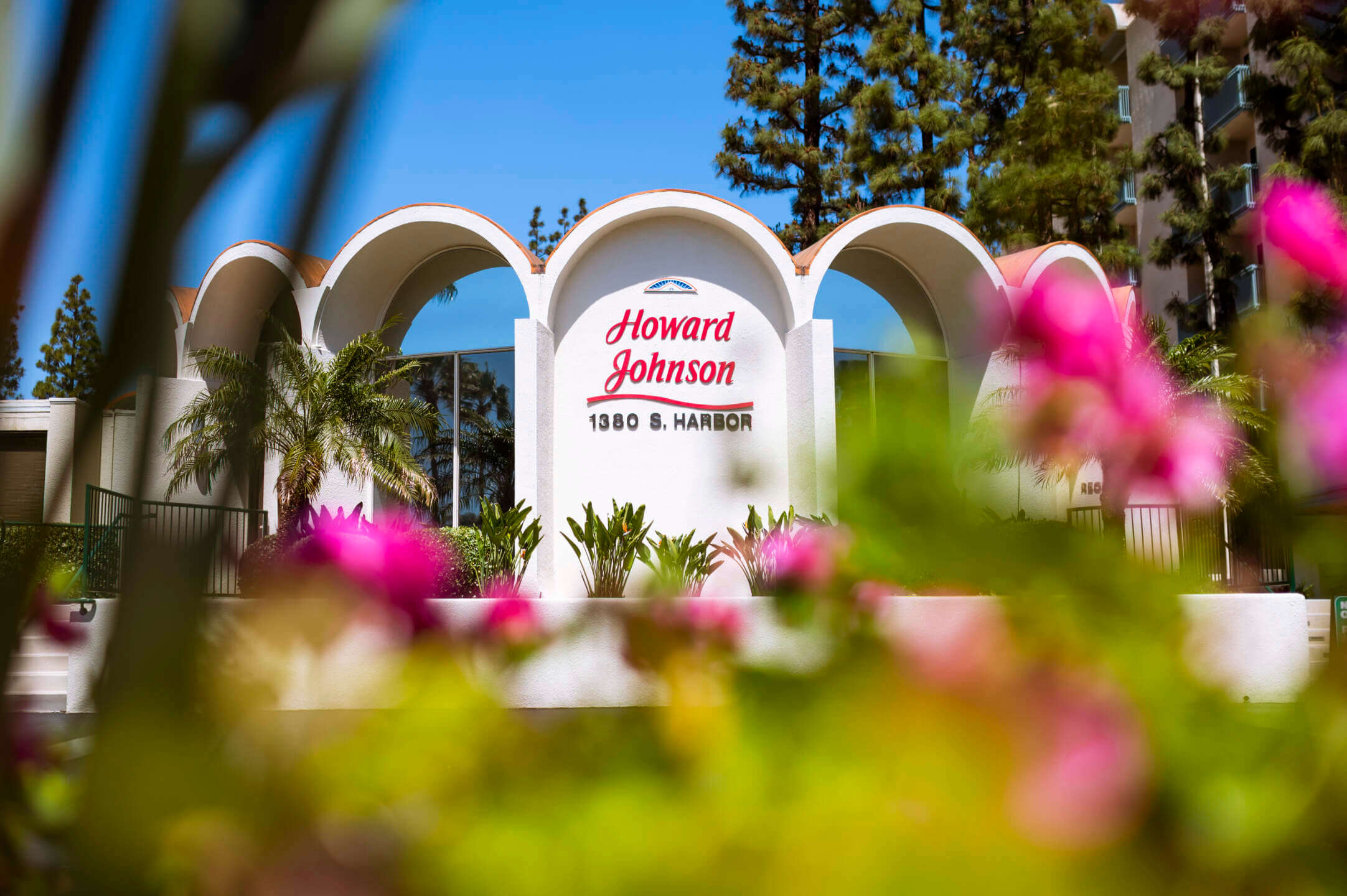 Baby Shark, Baby Shark Brings Summer Fun to the Howard Johnson Anaheim Hotel!