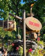 Tropical HIdeaway Disneyland