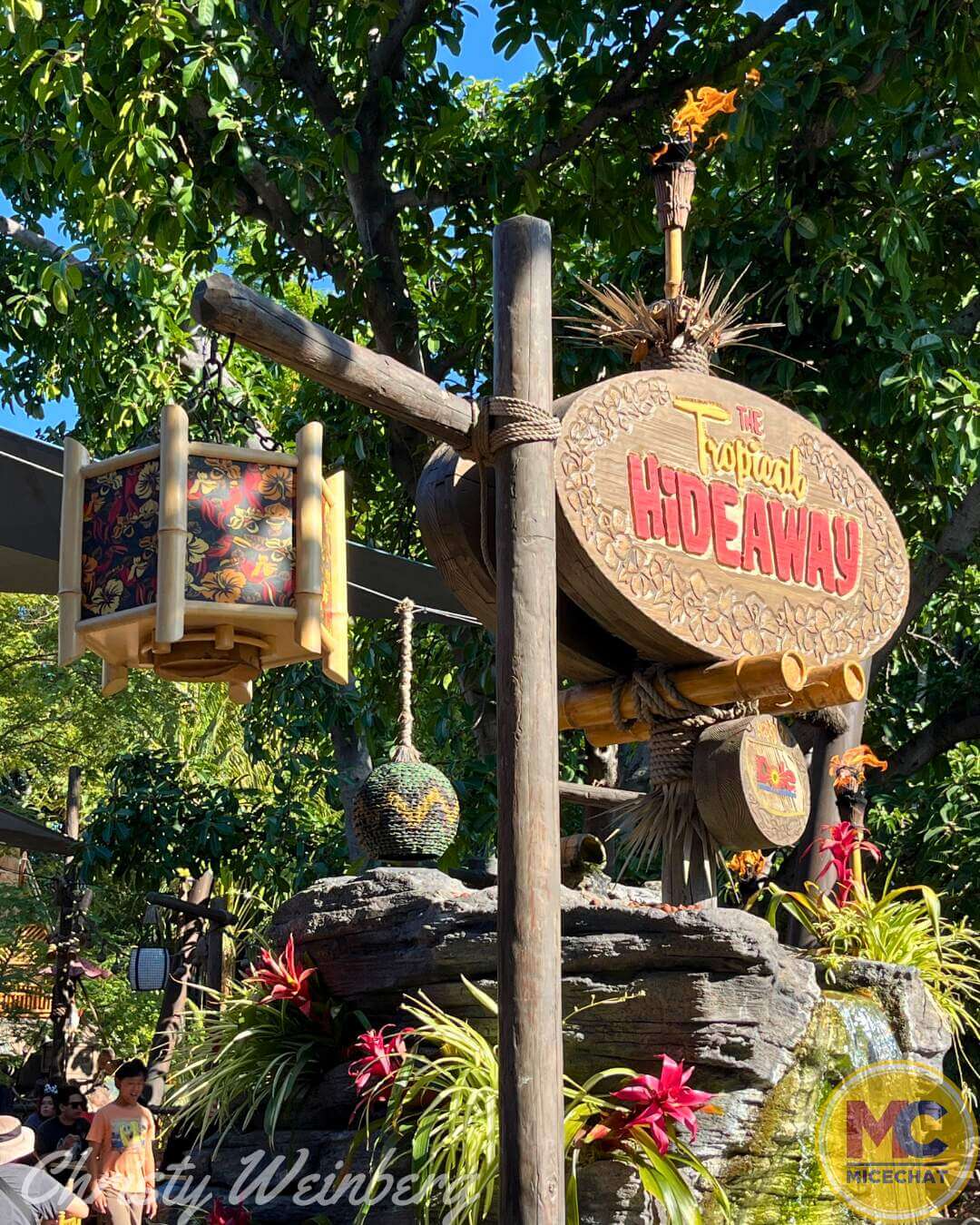 DOLE Whip Disney Parks, Disneyland Unveils Exclusive New DOLE Whip Peach Sundae!