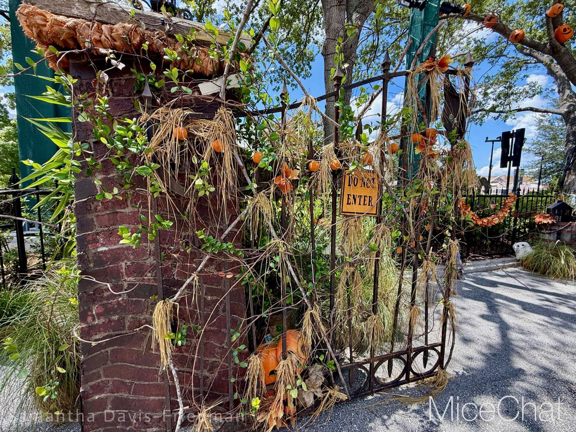 Universal Orlando Halloween Horror Nights 2025, Ultimate Guide to Universal Orlando Halloween Horror Nights 2025