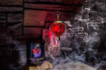 Bath and Body Works Disney VIllains Collection-Evil Queen wallflower