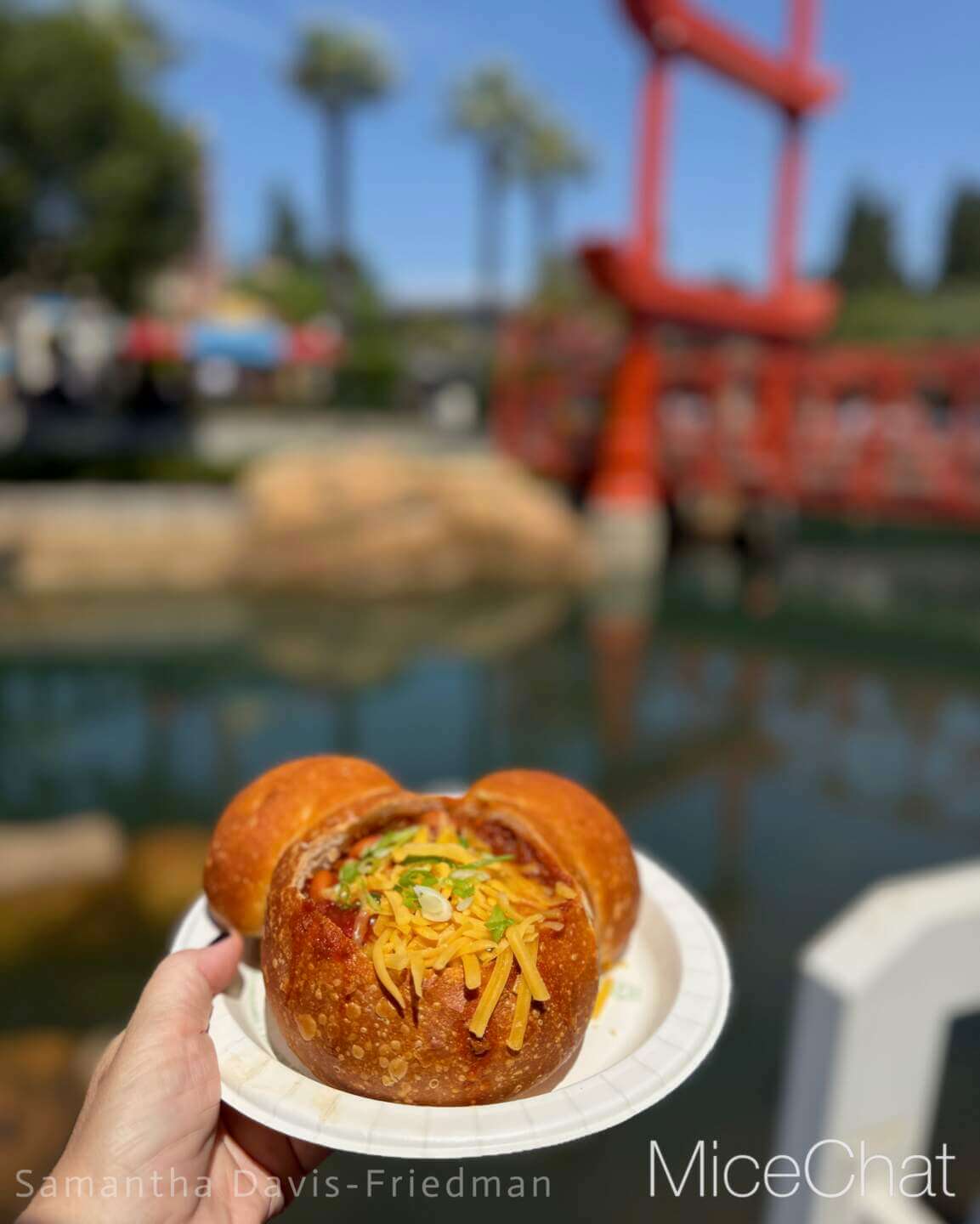 , DISNEYLAND UPDATE: Pumpkins, Projects & Pixie Dust!