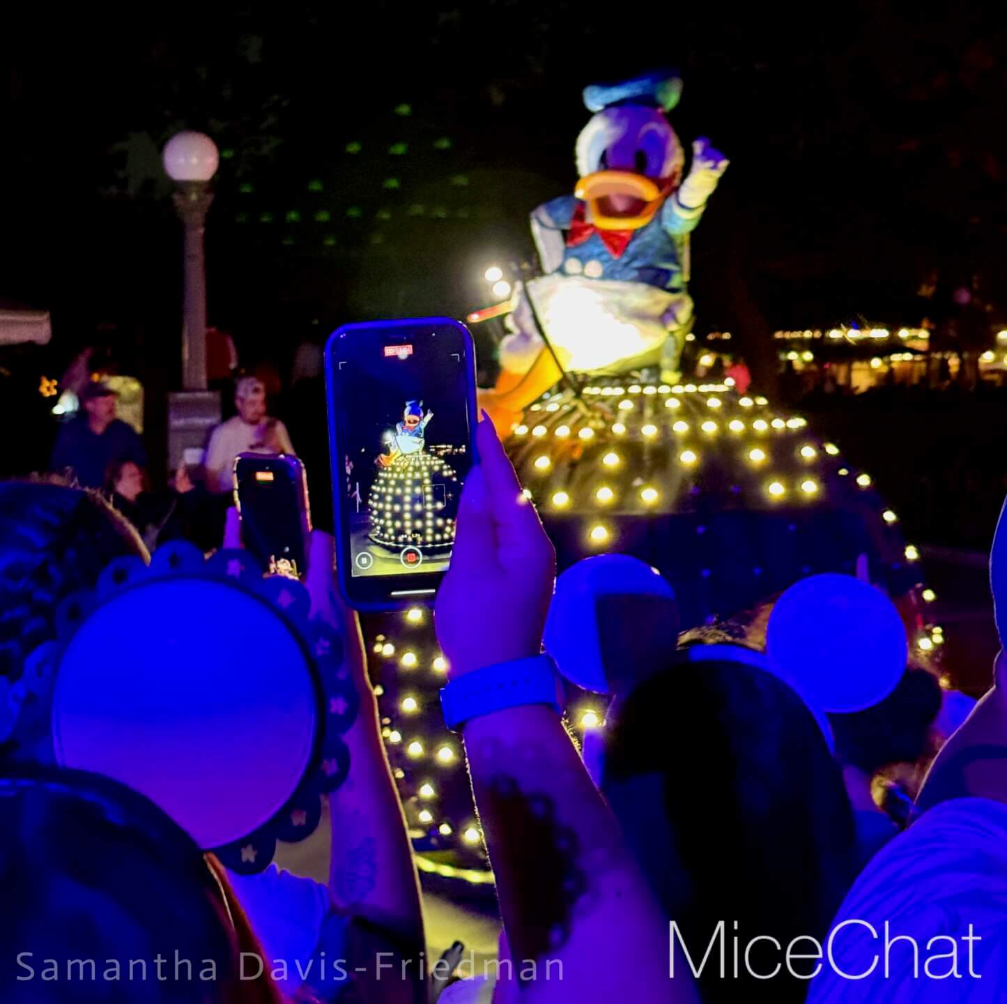 , DISNEYLAND UPDATE: Pumpkins, Projects & Pixie Dust!