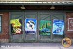 Disney California Adventure_Cars Land_Halloween Decorations_Main Drag_Movie Posters