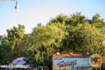 Disney California Adventure_Halloween Decorations_Cars Land