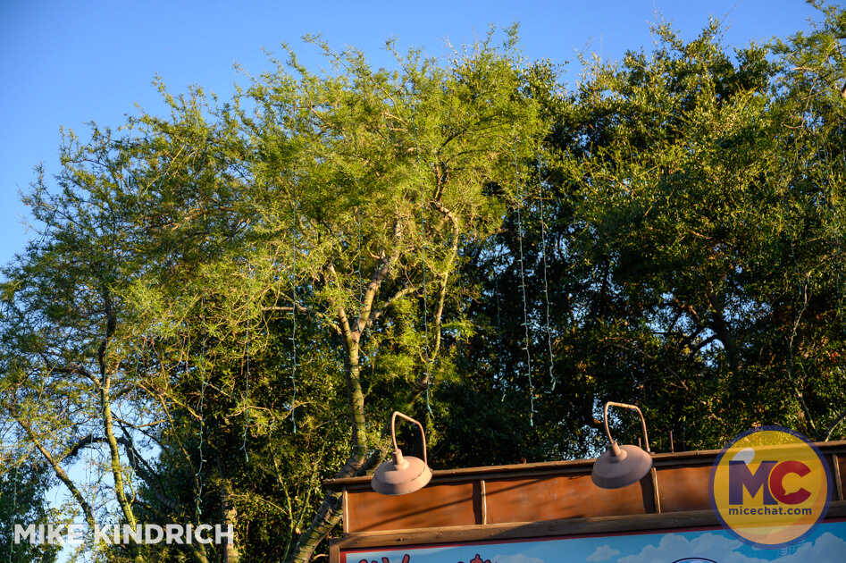 , DISNEYLAND UPDATE: Oswald On Set, Halloween Creeps & Holiday Peeps!