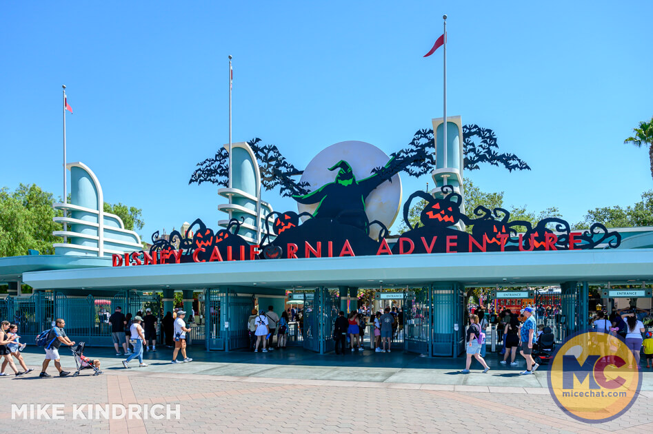 , DISNEYLAND UPDATE: Pumpkins, Profits & Park Progress!
