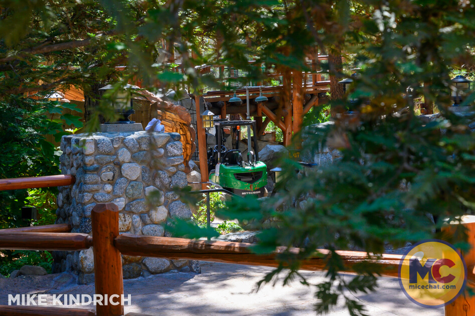 , DISNEYLAND UPDATE: Pumpkins, Profits & Park Progress!